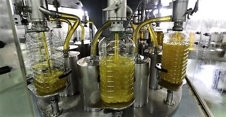 Jaén impulsa el crecimiento exportador andaluz mientras el aceite de oliva bate récord