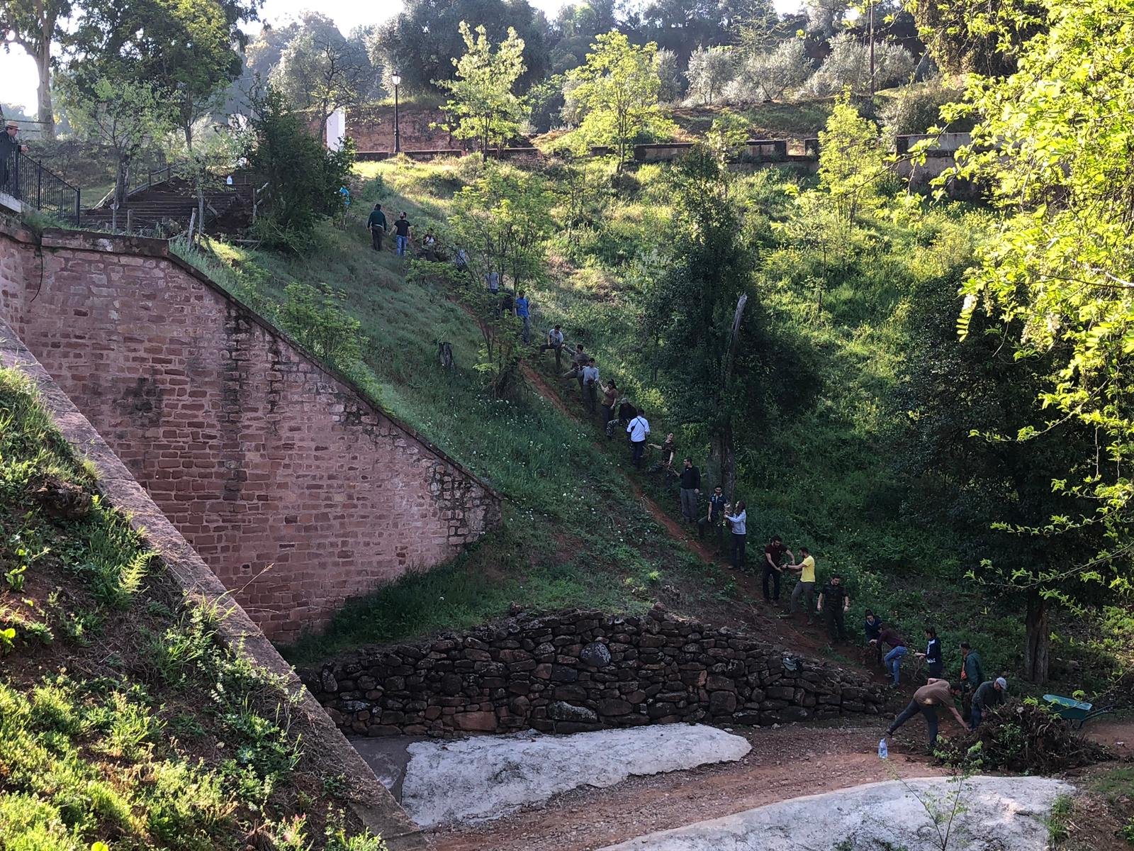 El Bosque Del Balneario De Marmolejo Viaja Al Pasado El Bosque Del Balneario De Marmolejo Viaja Al Pasado