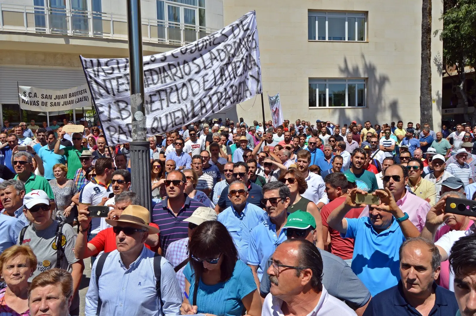 COAG Jaén plantea movilizaciones ante la caída del precio del aceite