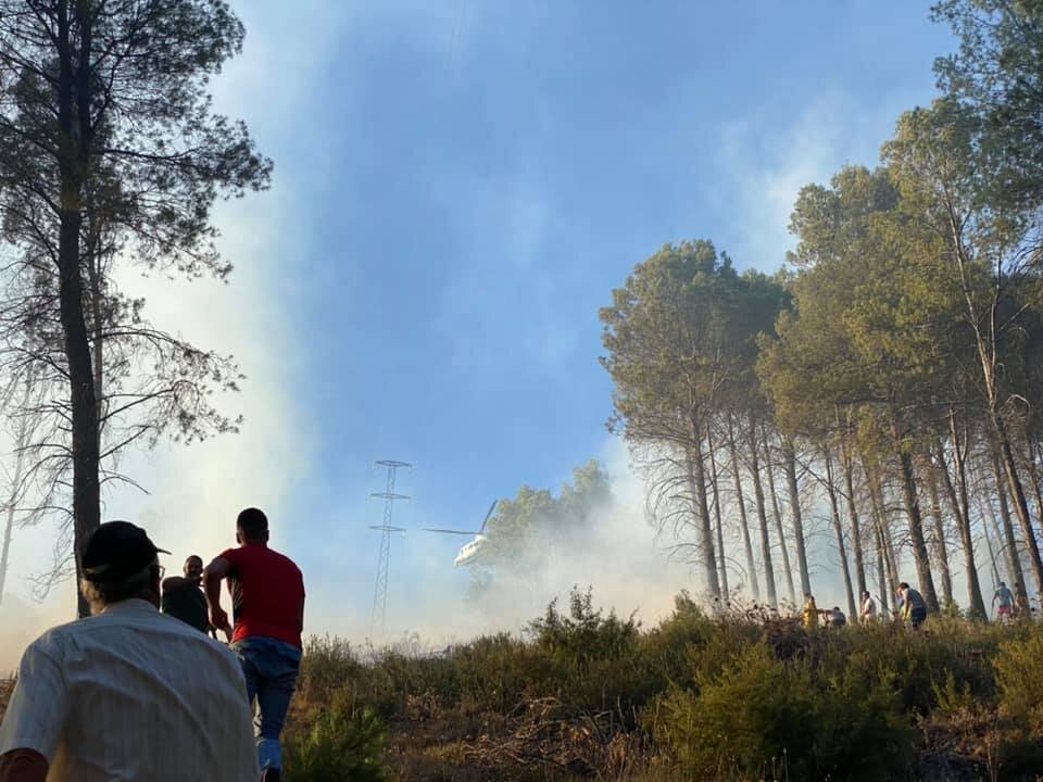 El Infoca Da Por Extinguido El Incendio Forestal En Siles