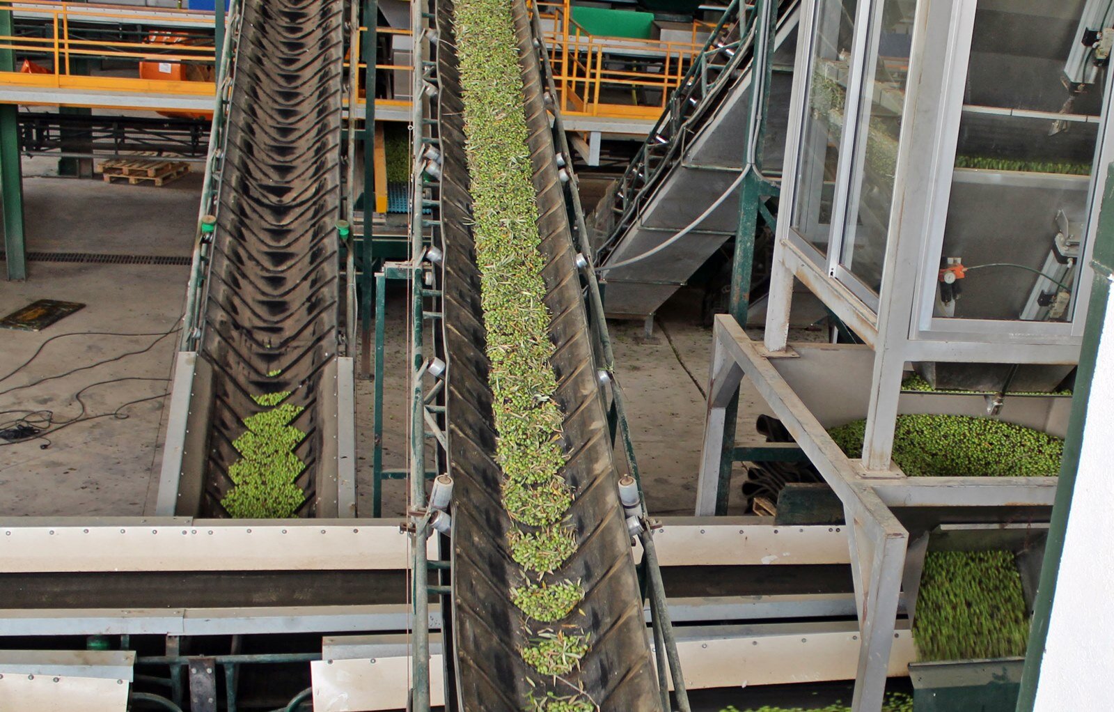 El olivar cierra un año récord de ventas  pero marcado por la caída de precios