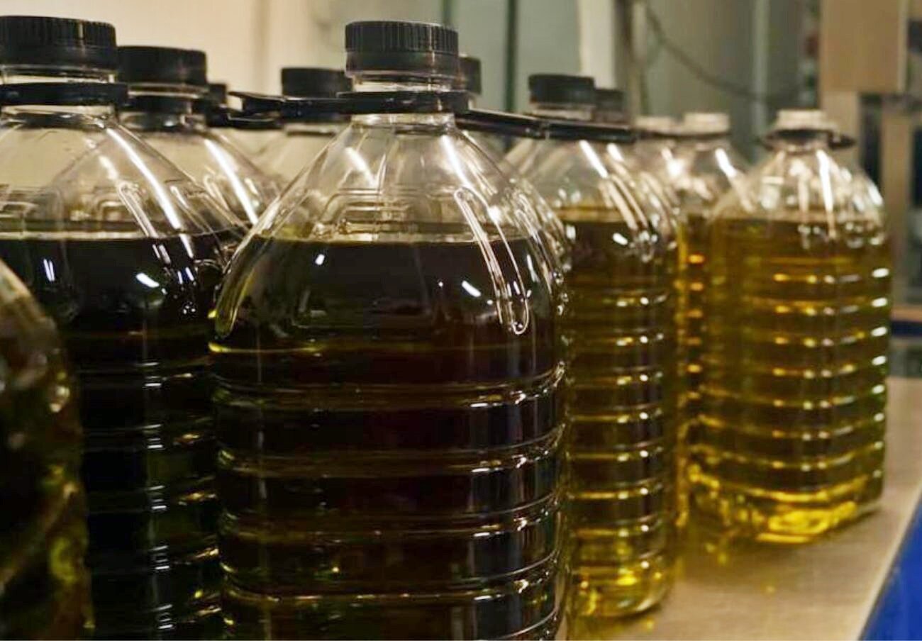 El olivar tradicional señala al aceite de Túnez por la caída de los precios en origen