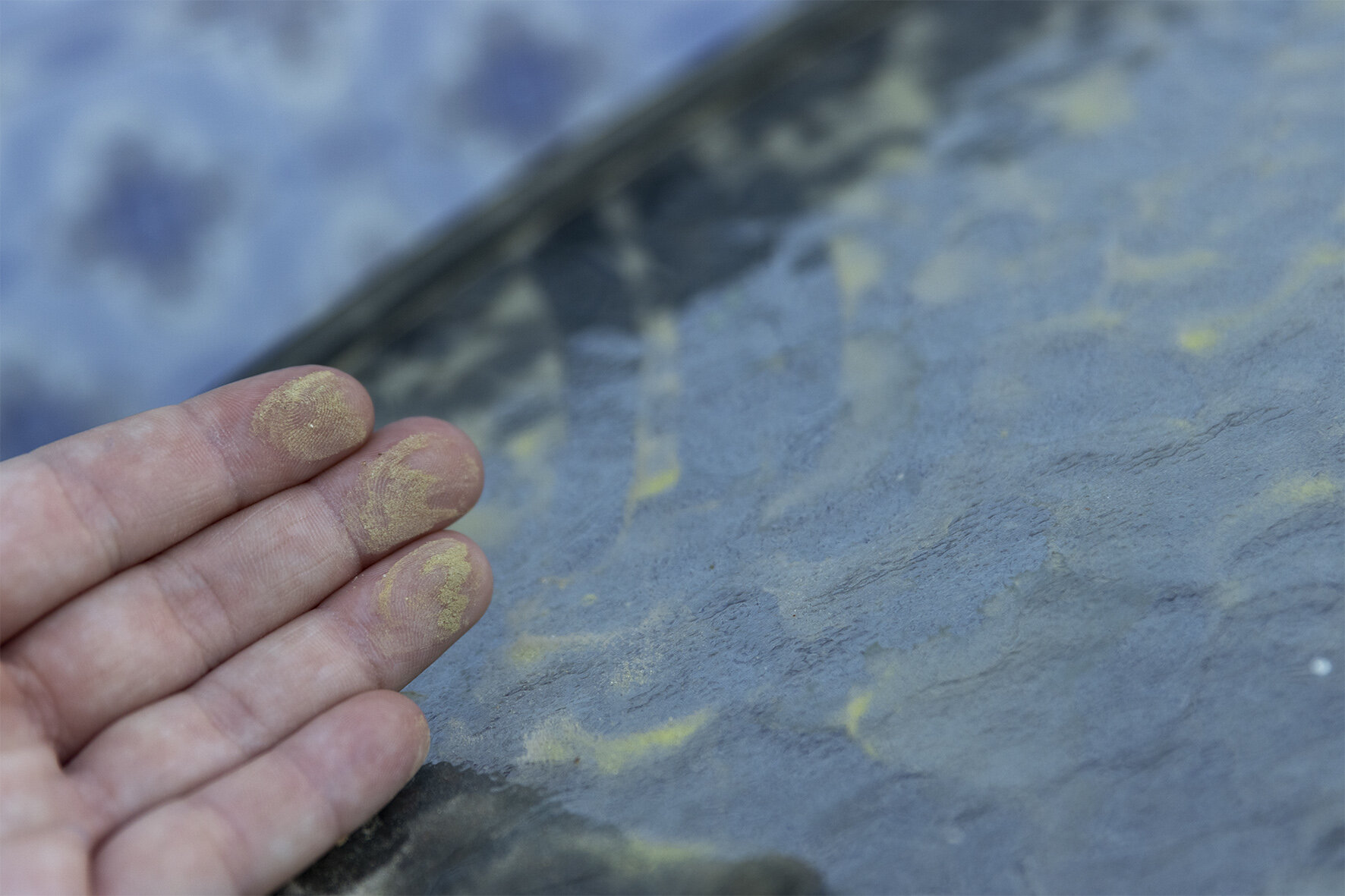 Aviso amarillo por lluvias en plena explosión del polen de olivo