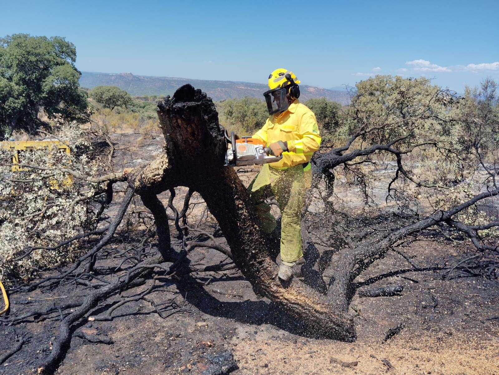 El calor y la vegetación acumulada elevan el riesgo de incendios a las puertas del verano