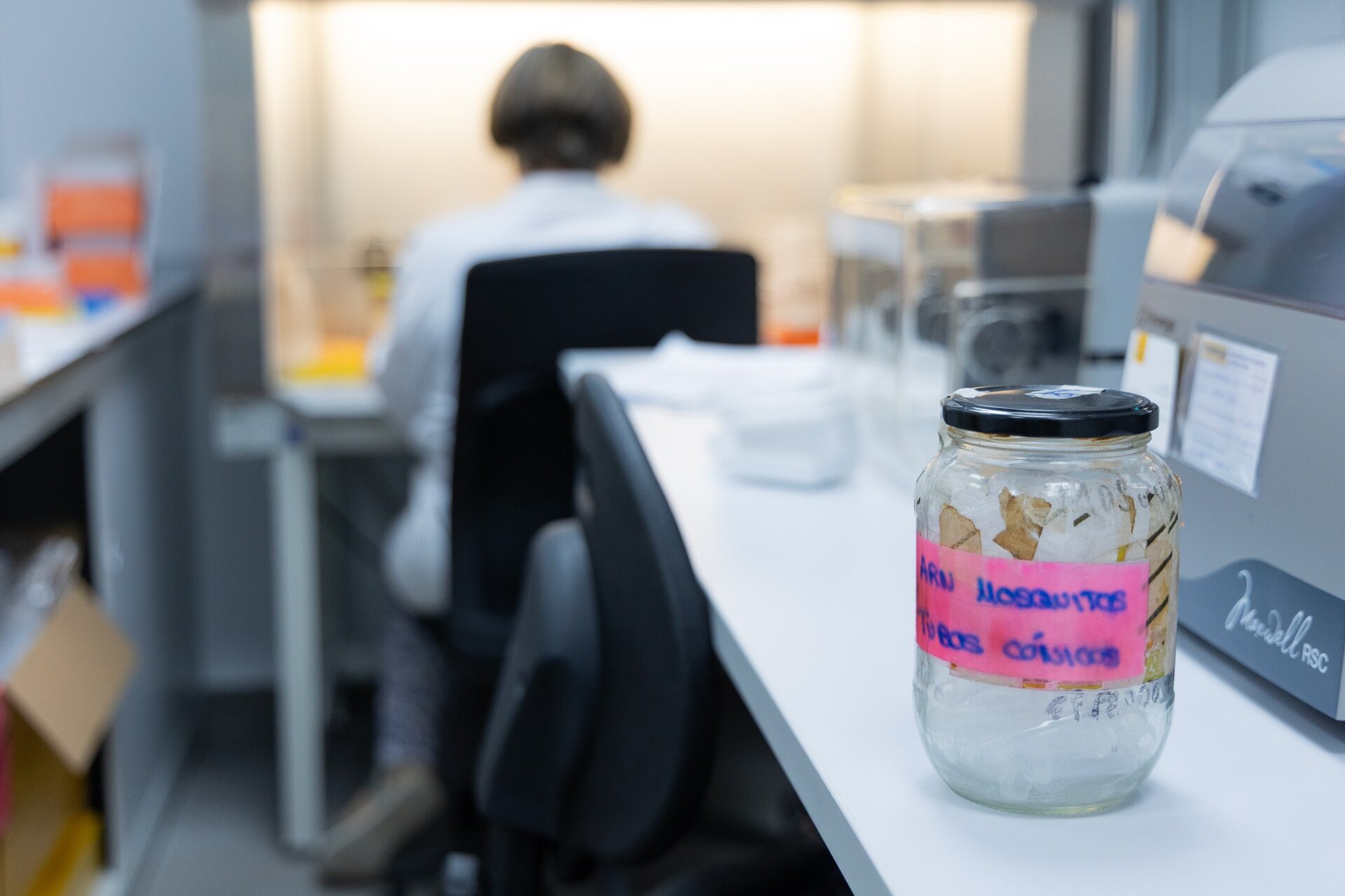 Ocho municipios de Jaén, en nivel alto por el Virus del Nilo