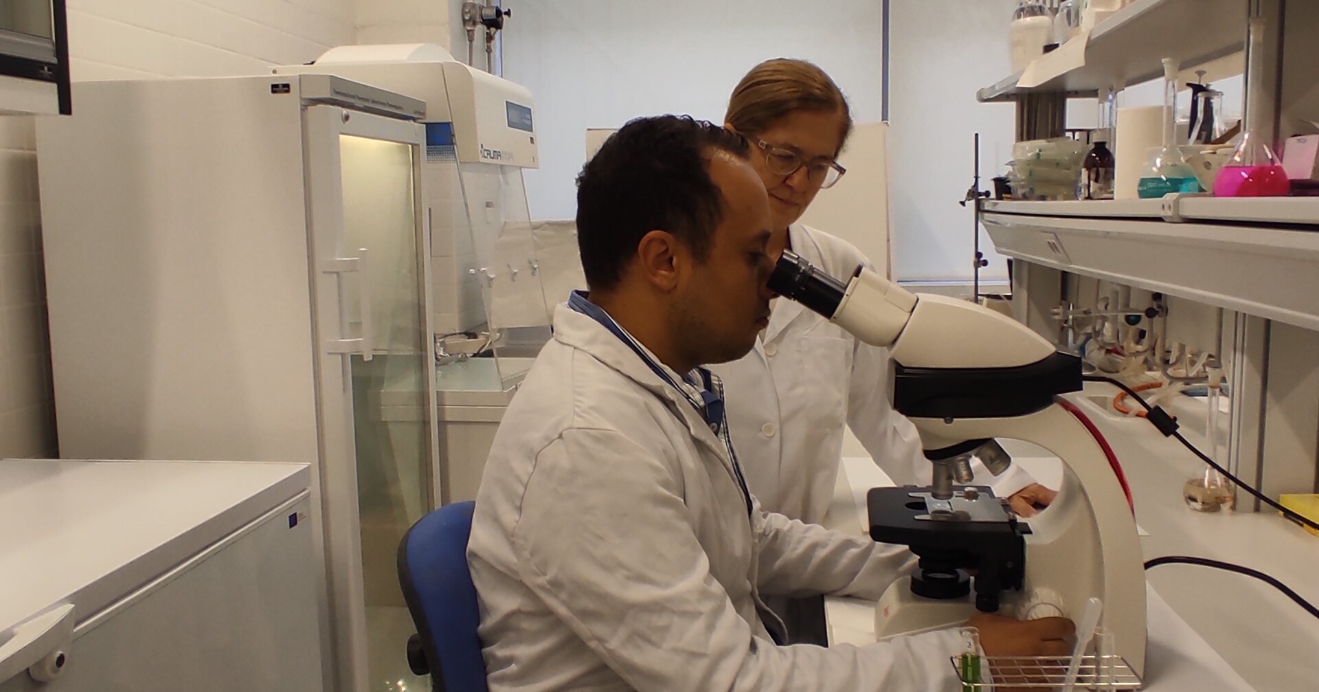 La revolución verde que nace en Jaén para transformar las aguas de almazara