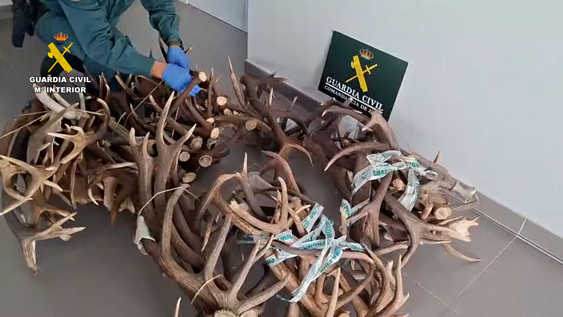 El Seprona investiga a cuatro vecinos de La Carolina por furtivismo