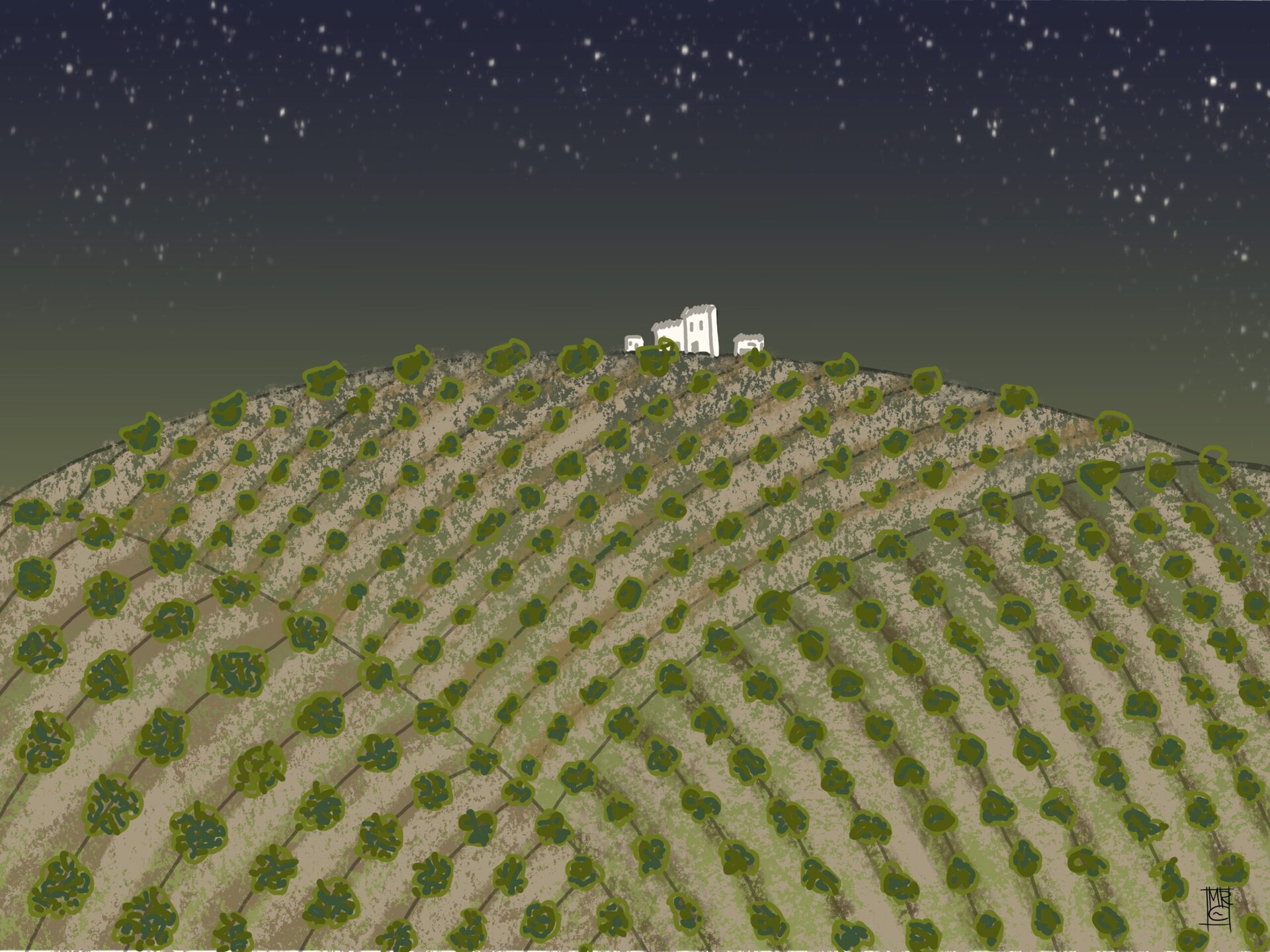 El Premio Internacional de Relatos del Olivar cierra su edición más participativa