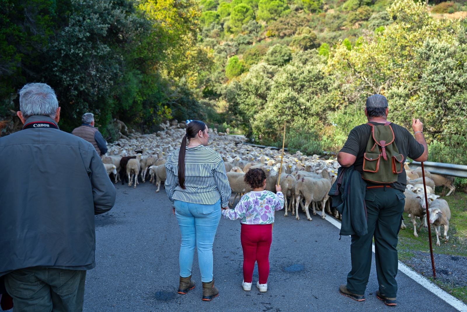Caminar con el rebaño para entender el territorio
