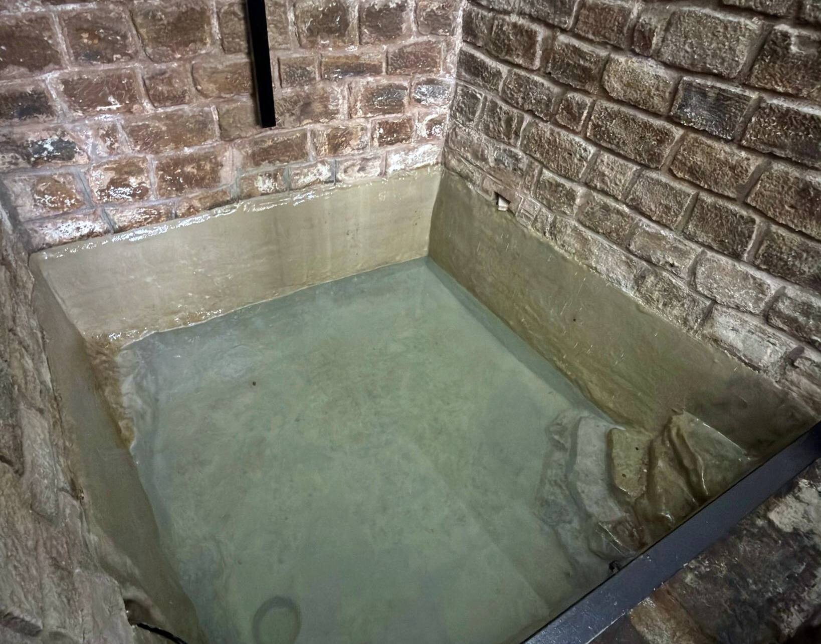 La Fuente Santa vuelve a brotar tras décadas en silencio