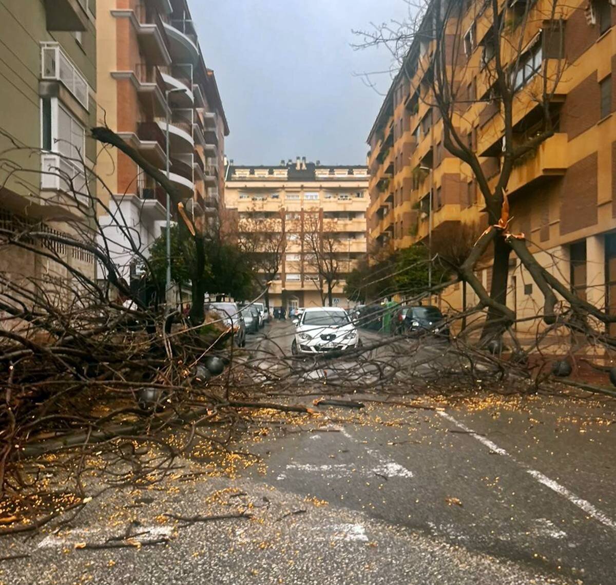 Jaén afronta una semana crítica con 178 incidencias en un día y nuevas lluvias persistentes