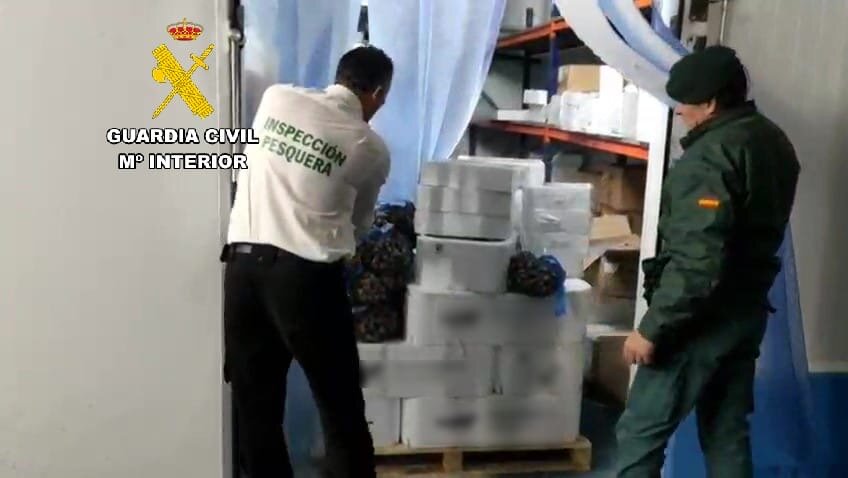 Intervenidos más de 270 kilos de pescado y marisco no apto para el consumo en Úbeda