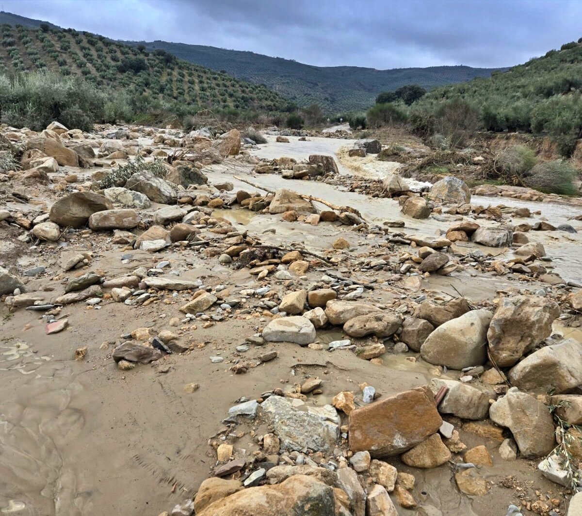 Los Villares solicita apoyo a la Junta y al Gobierno para reconstruir los caminos rurales