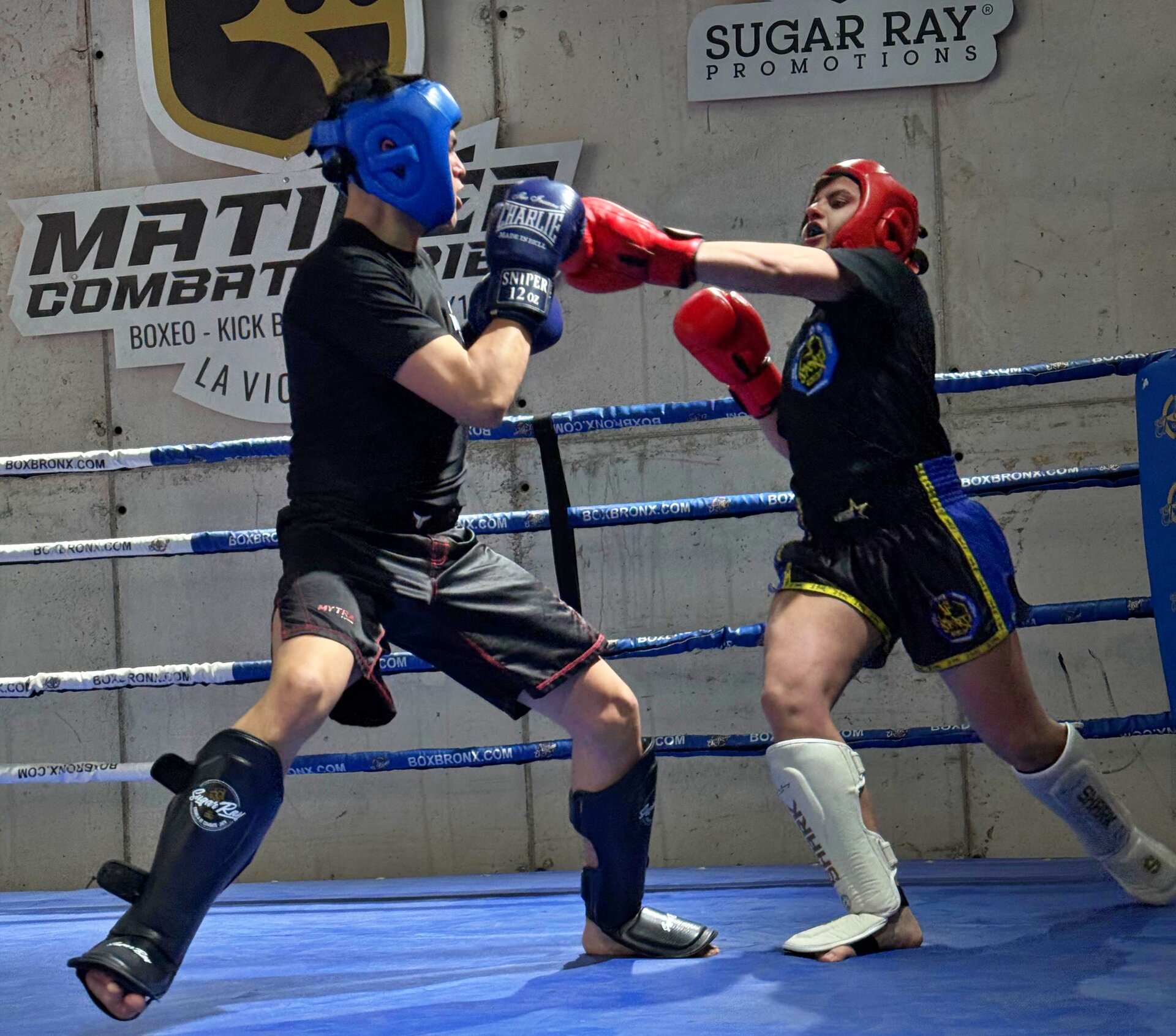 Las matinales del Real Jaén, escaparate del talento provincial en deportes de contacto