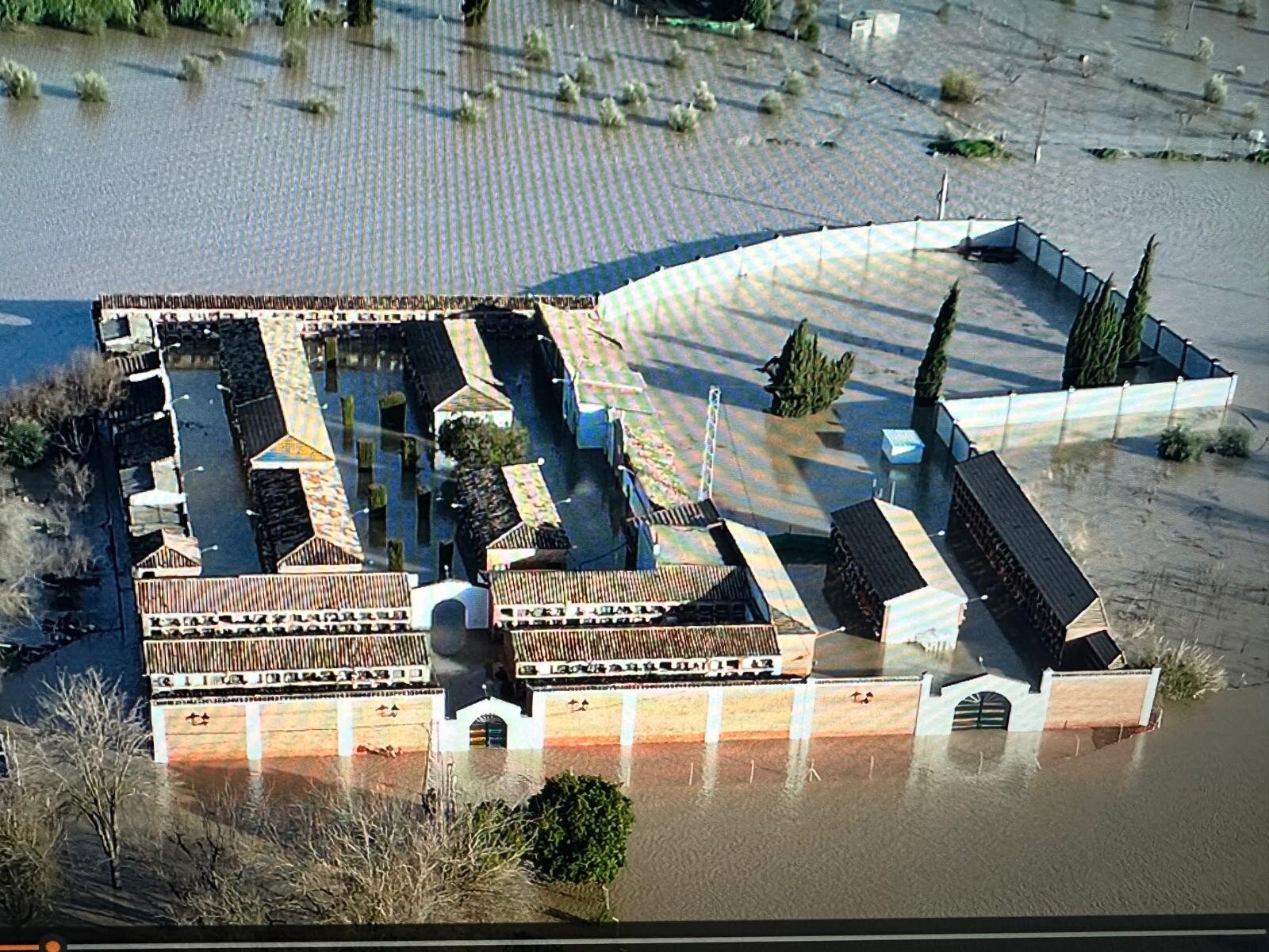 El Guadalquivir alcanza en Jaén caudales comparables a los grandes episodios de 2010 y 2013