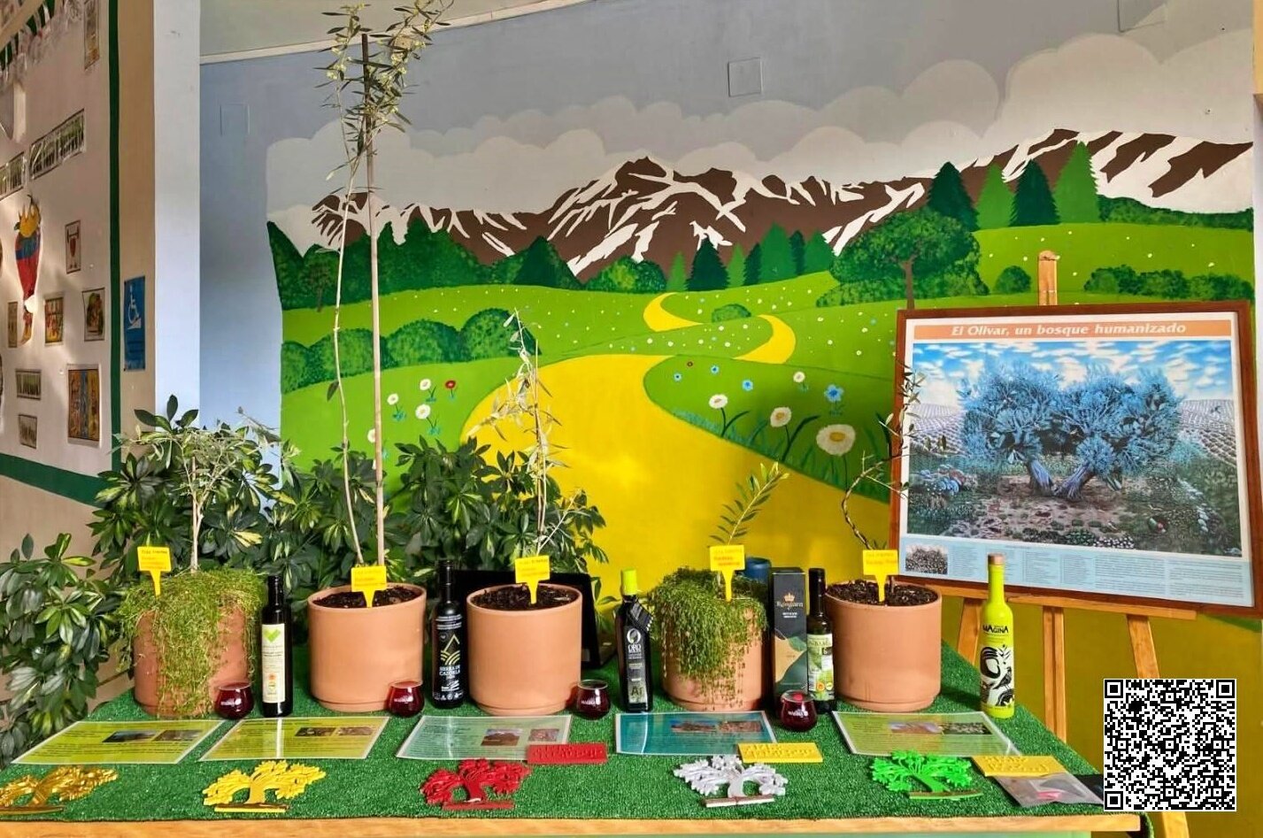 El colegio de Jaén que gana el concurso de la ONCE con un proyecto inclusivo sobre el olivar