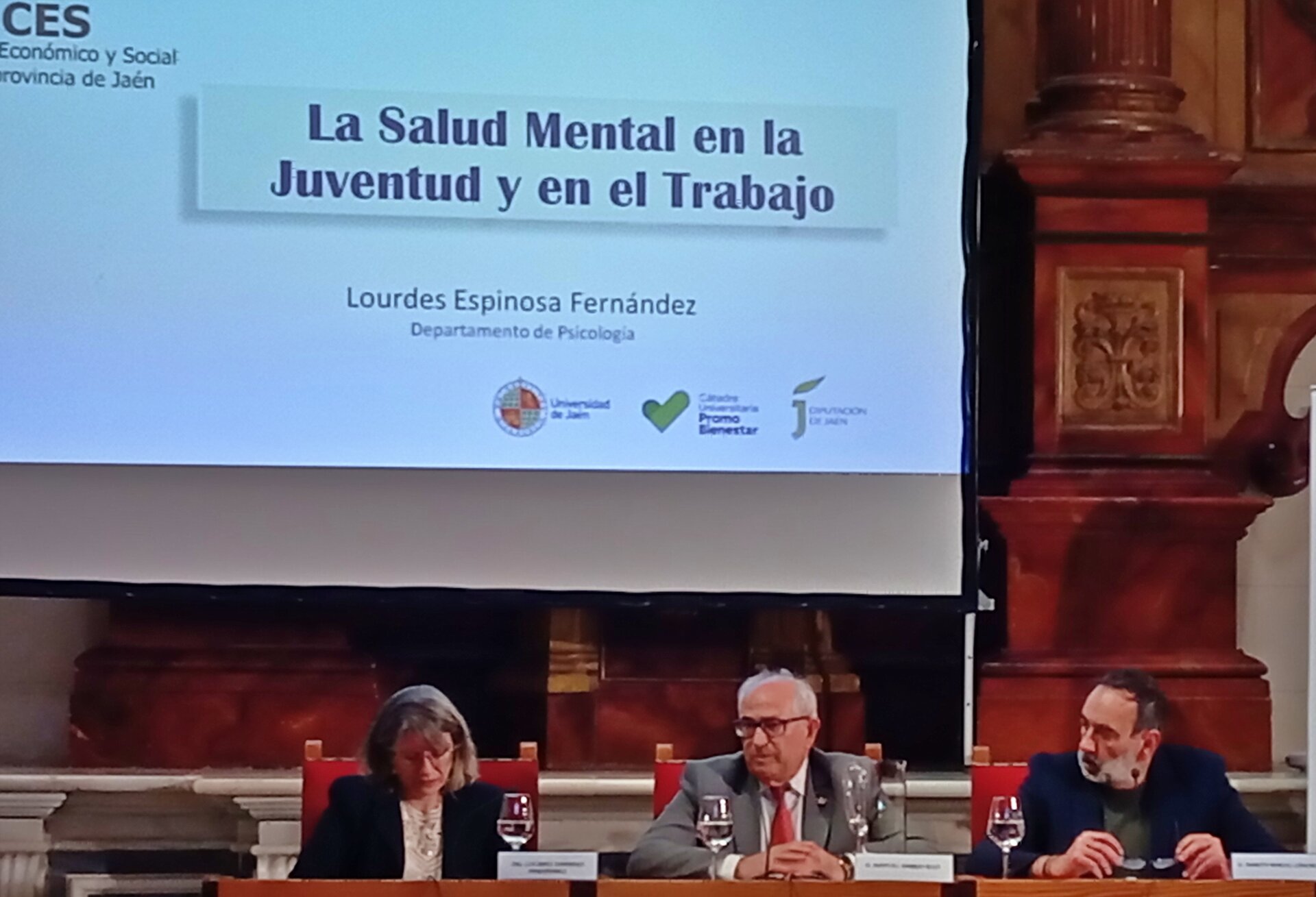 Jaén supera los 24.000 diagnósticos de salud mental en un año