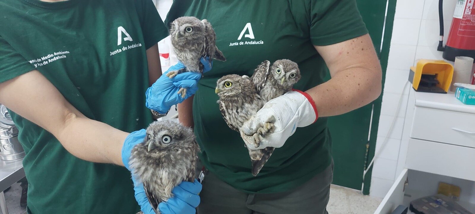 Más de un millón de euros para modernizar el centro de recuperación de fauna de Quiebrajano