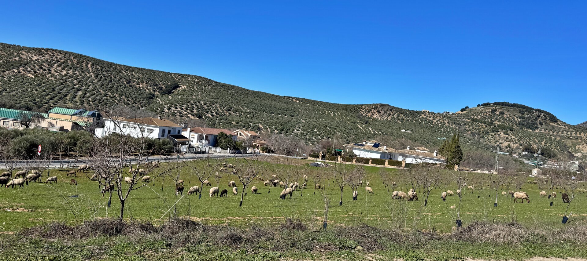Más de 400 jóvenes de Jaén accederán a ayudas para incorporarse al campo