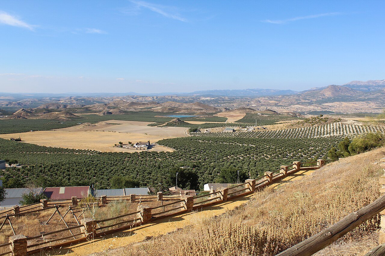 Toda Larva en las ciento cincuenta páginas de un libro