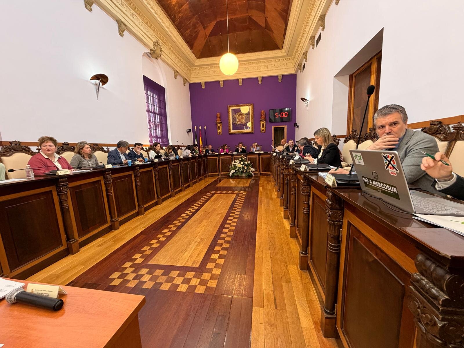 El pleno de Jaén aprueba los 7,3 millones de Ifeja 