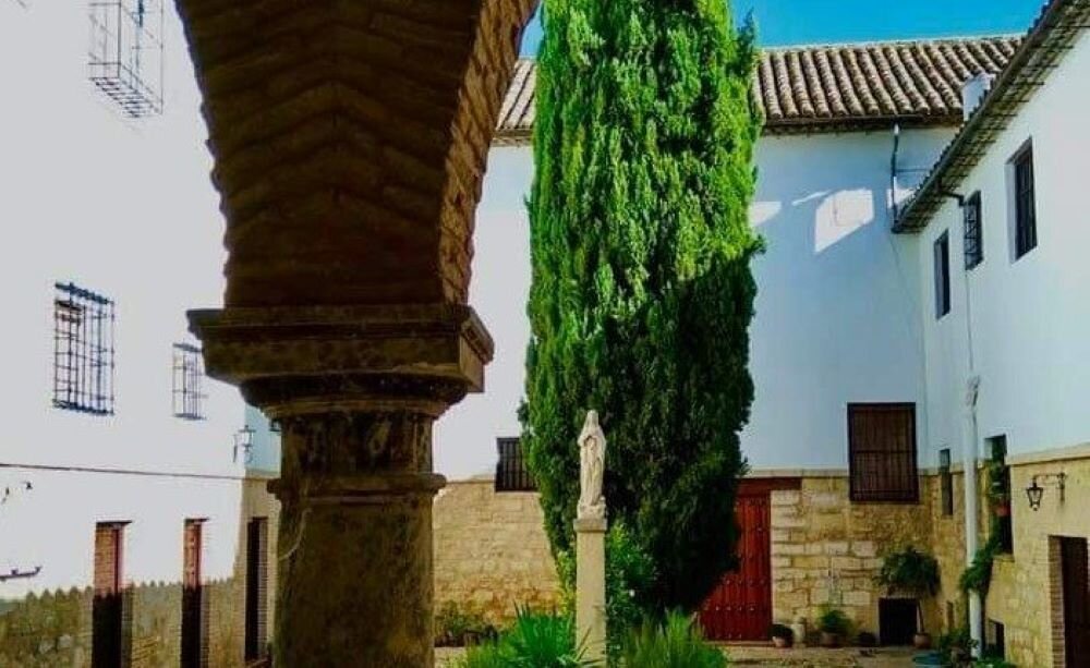 Un poético ciprés en el compás del convento de Santa Clara