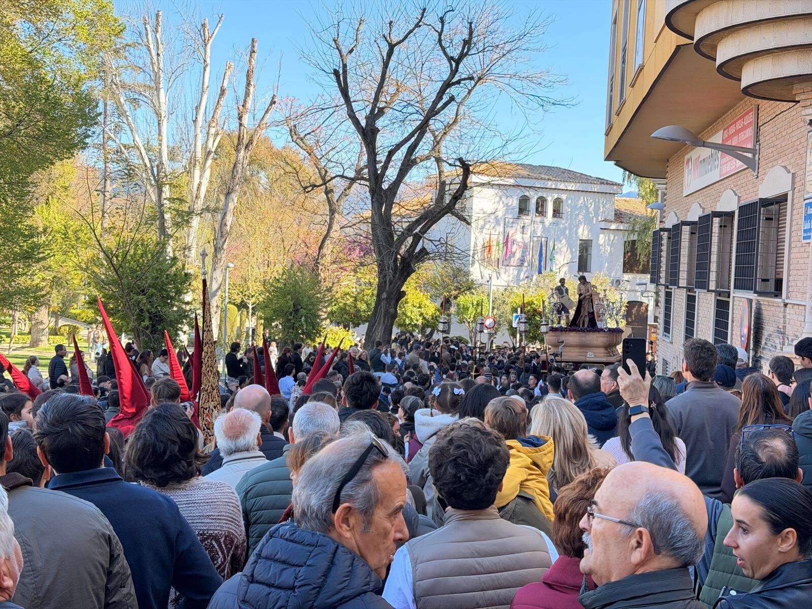 Niveles de polen medios-altos complican la Semana Santa a los alérgicos