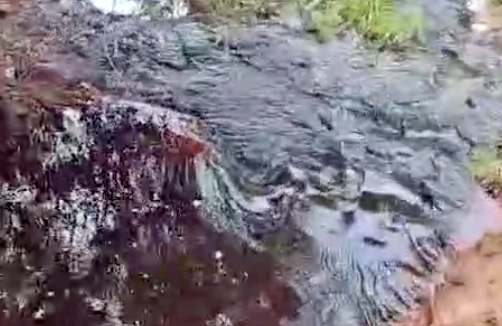 Denuncian posibles vertidos contaminantes en un arroyo de Castellar