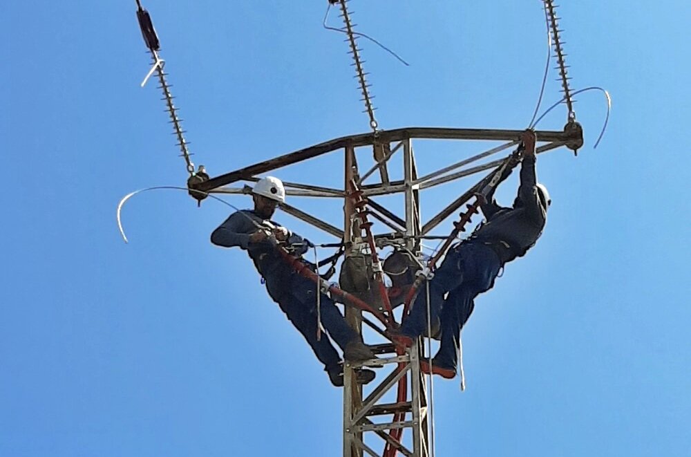 Casi 2.000 apoyos eléctricos adaptados para proteger a las aves en la provincia
