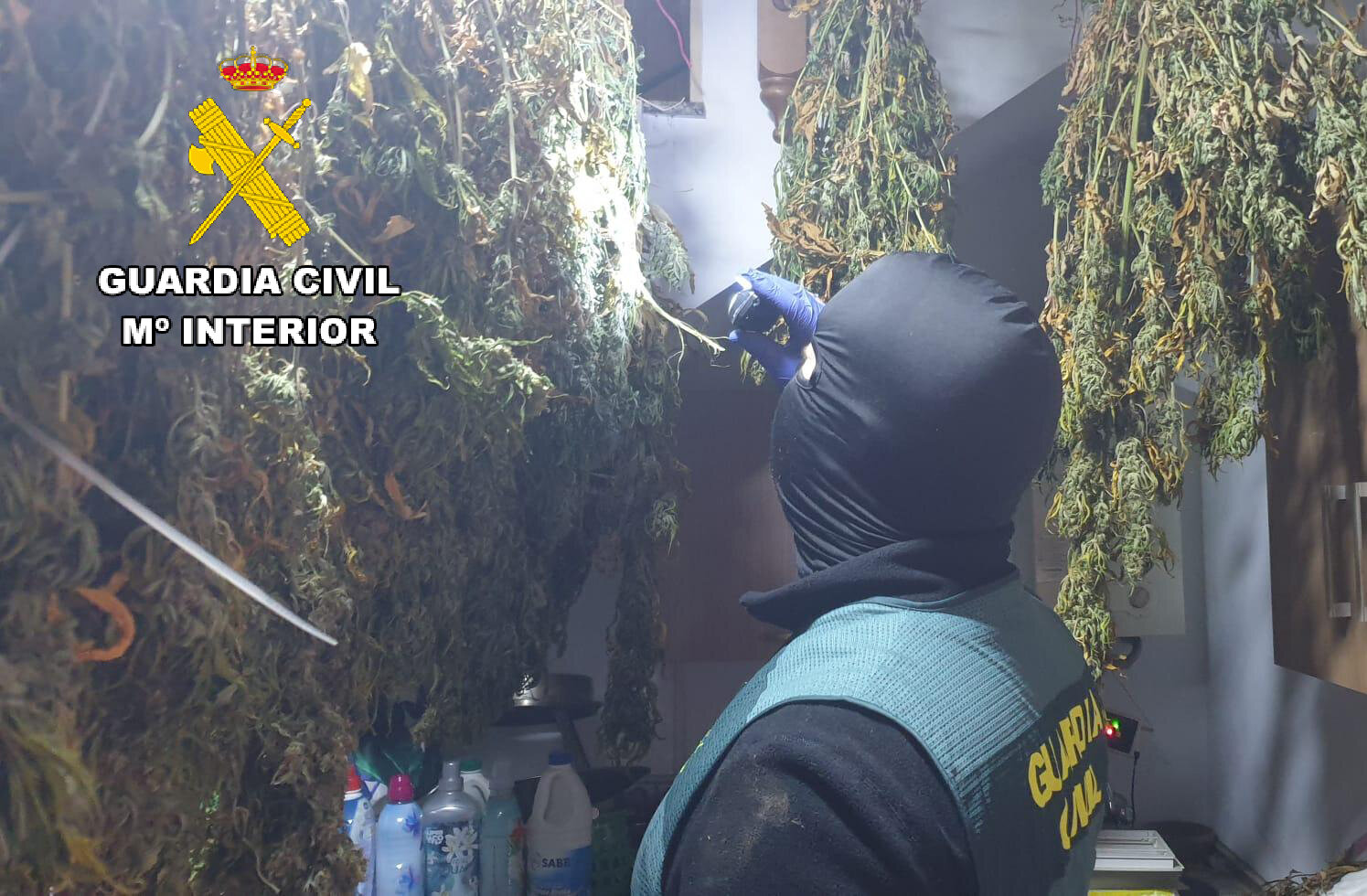 Desmantelada una red de tráfico de drogas en la Sierra de Segura con cinco detenidos