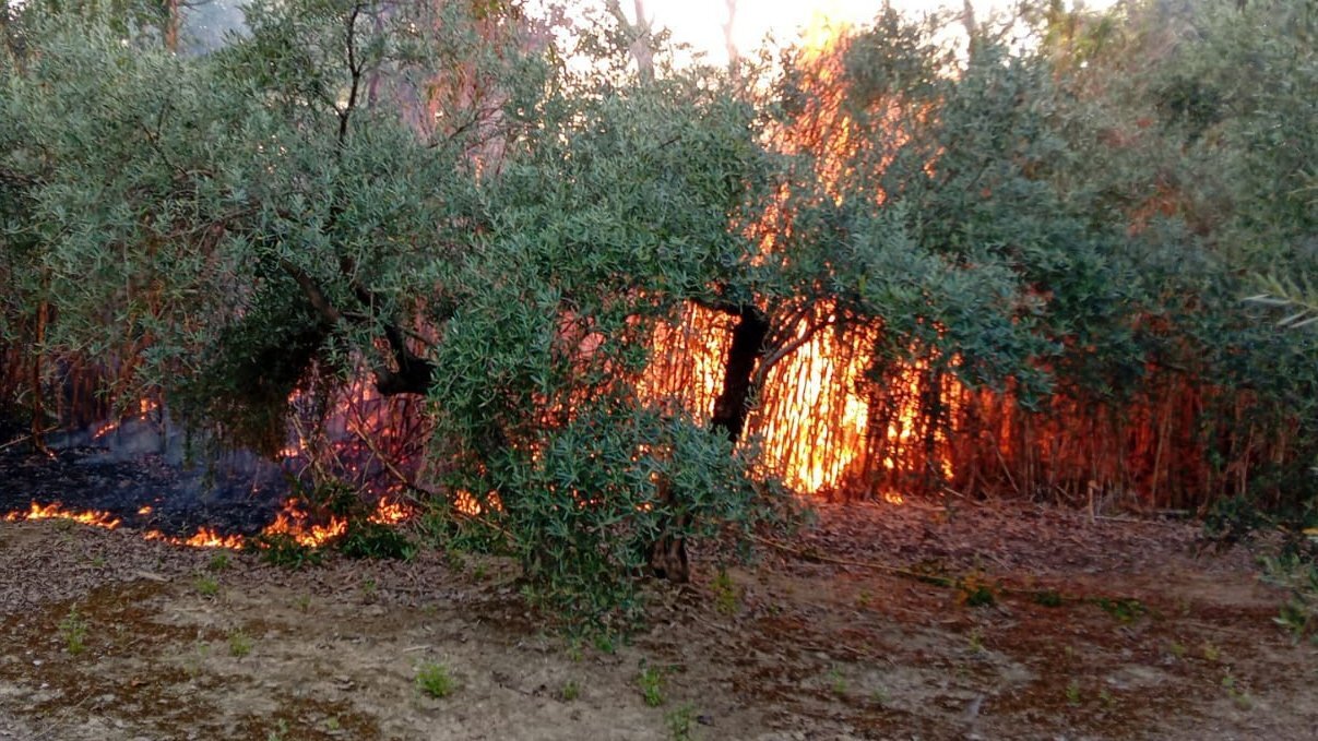 El incendio forestal de Jimena queda extinguido