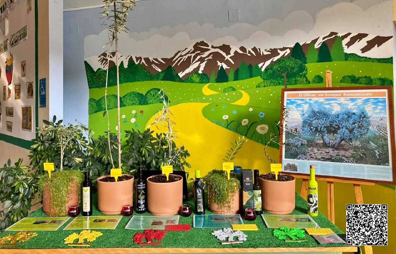 El colegio de Albanchez de Mágina que triunfa en el concurso de la ONCE