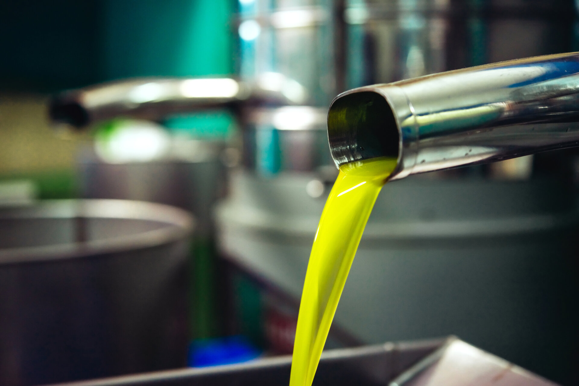 El aceite de oliva resiste la caída de precios y sostiene el tirón exportador andaluz