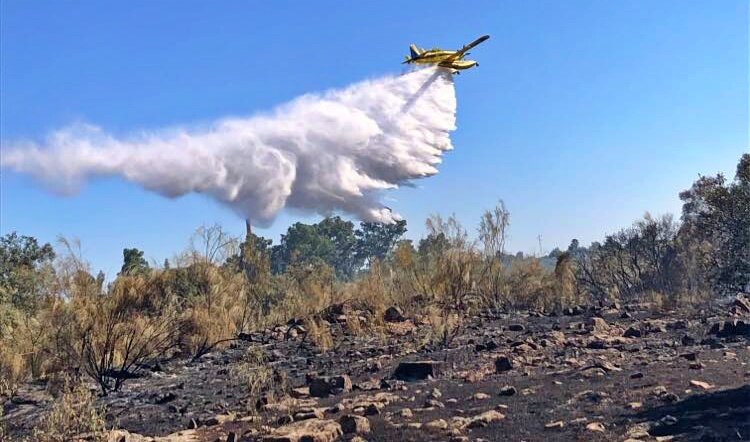Extinguido el incendio forestal en Linares