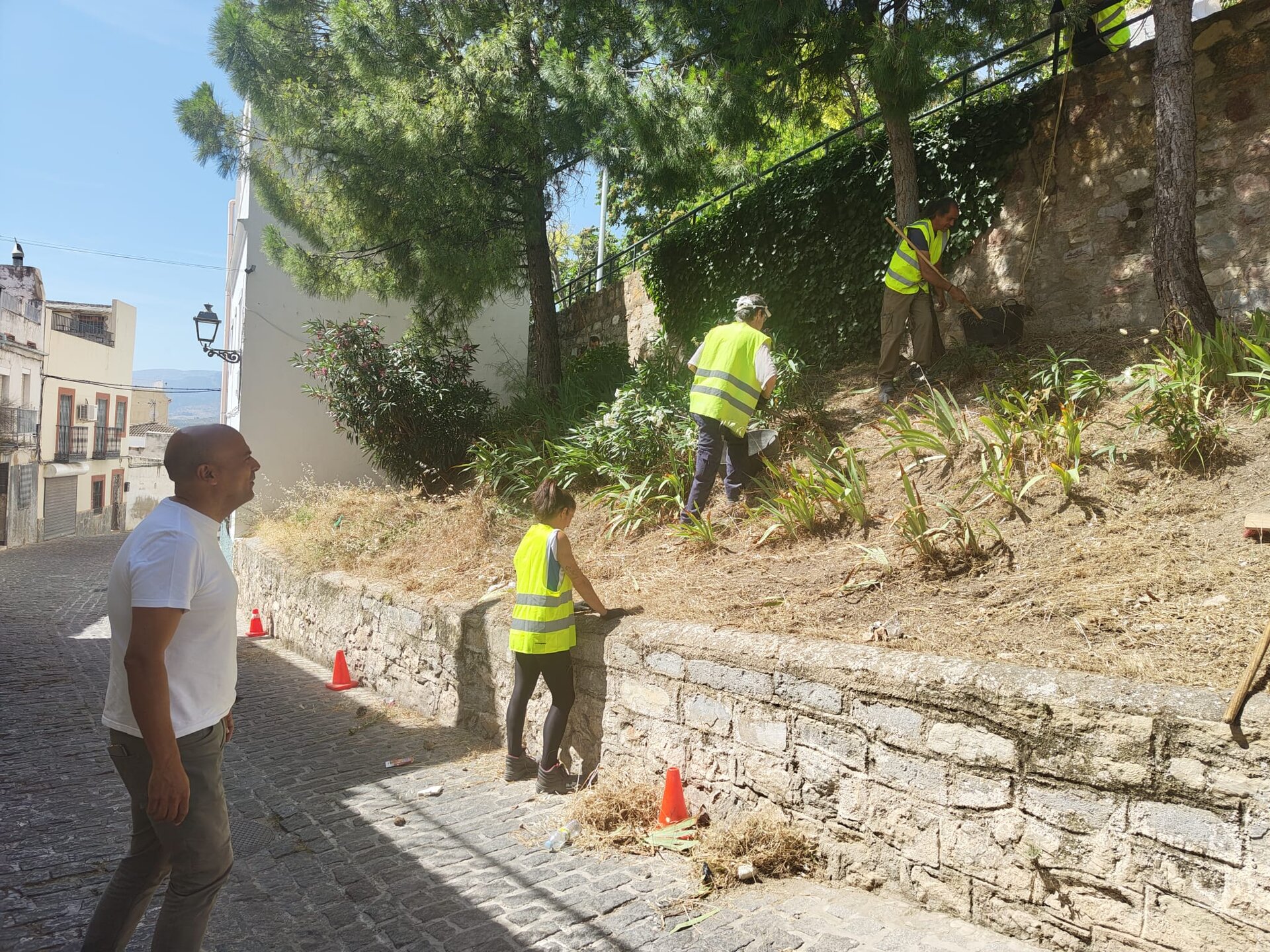 Jaén prepara la plantación de cientos de árboles en barrios, parques y espacios públicos