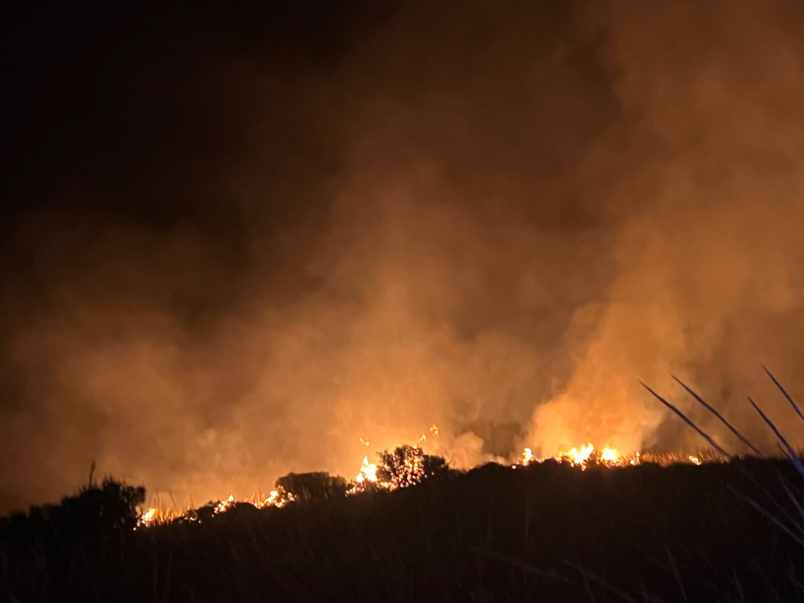 Un incendio en el Cerro del Cuco moviliza durante nueve horas a los bomberos de Bedmar