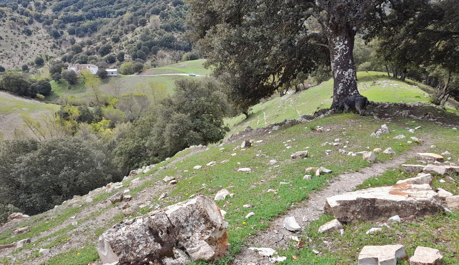 El hombre que murió accidentado en un cortijo de Valdepeñas de Jaén era vecino de Olivares