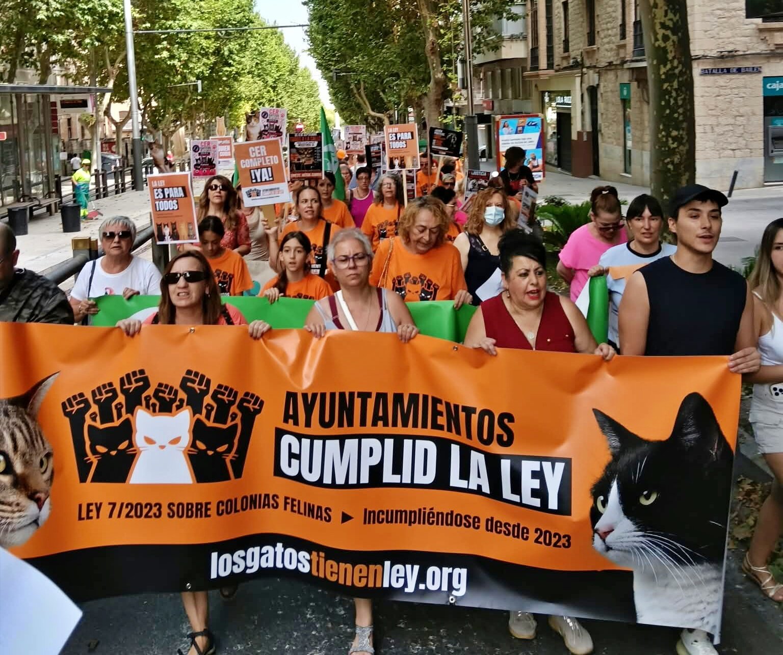 Pacma Jaén reclama que los ayuntamientos cumplan la ley sobre colonias felinas