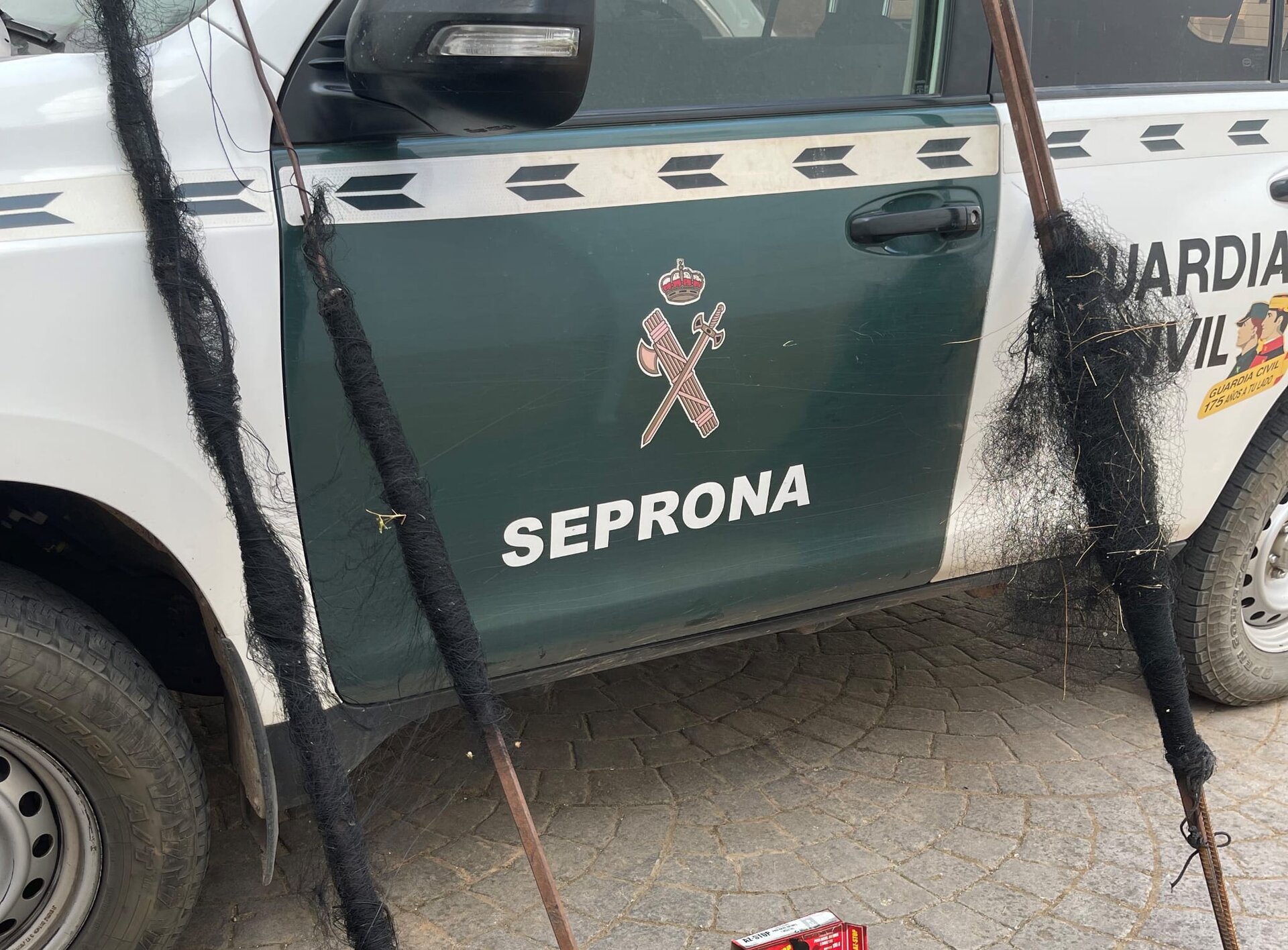 Investigado un vecino de Beas de Segura por la captura ilegal de aves protegidas