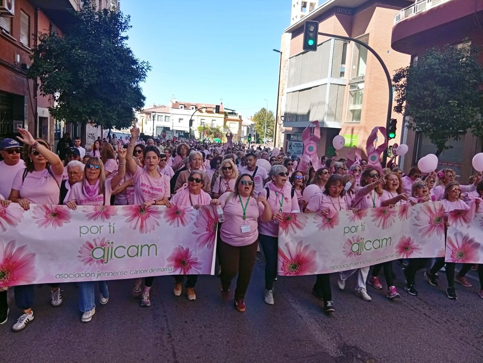 La Marcha Rosa toma las calles con la sanidad en el punto de mira