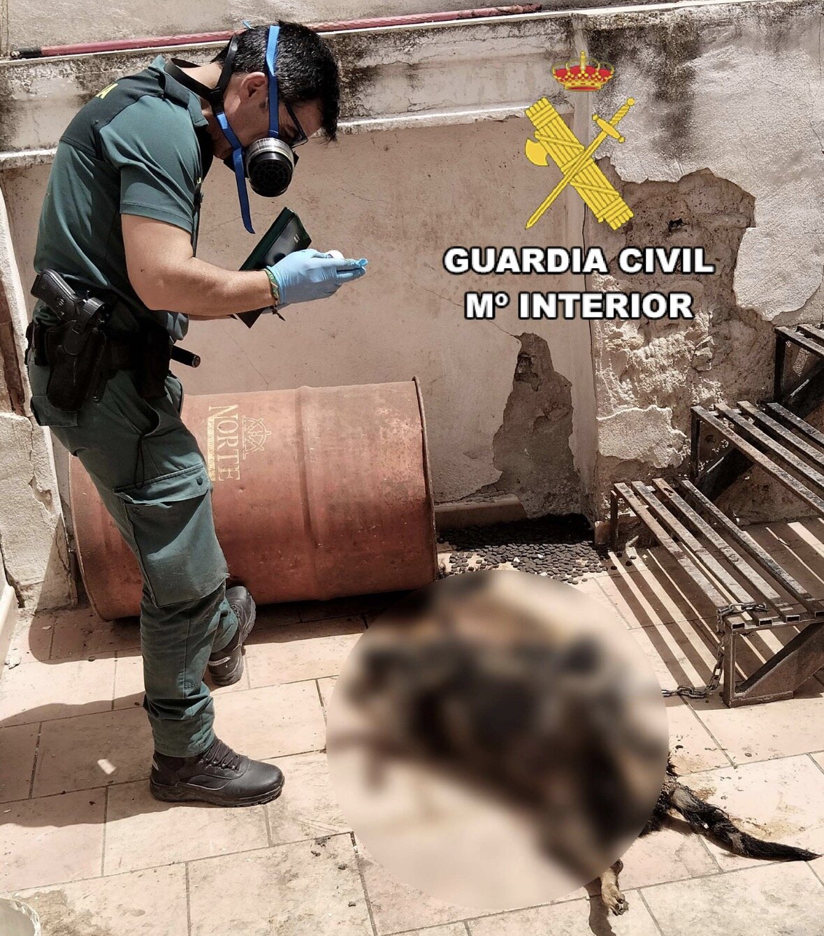 Detenido tras hallar tres perros muertos y otro gravemente herido en una vivienda de Campillo de Arenas