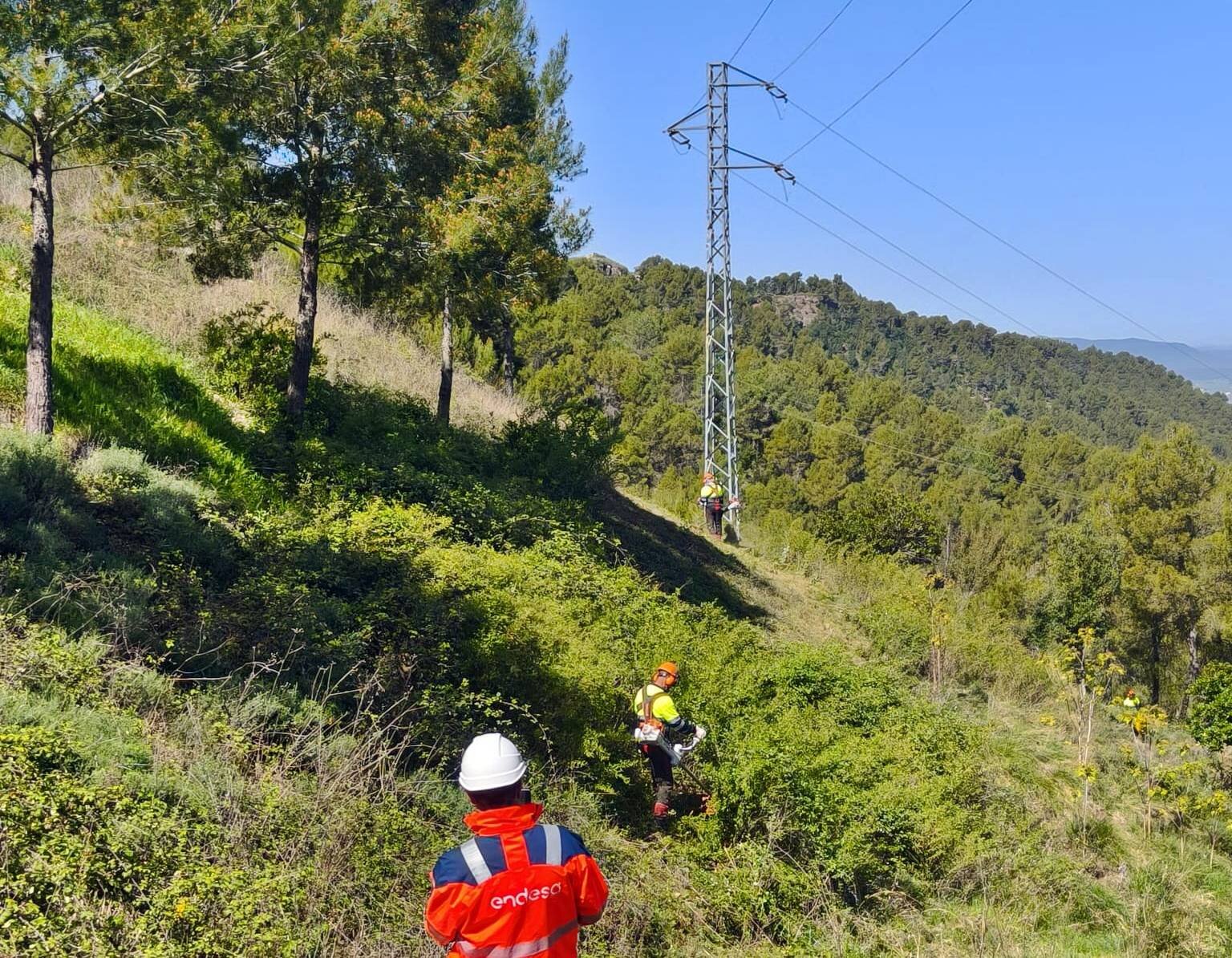 Jaén, segunda provincia andaluza en crecimiento de energías renovables