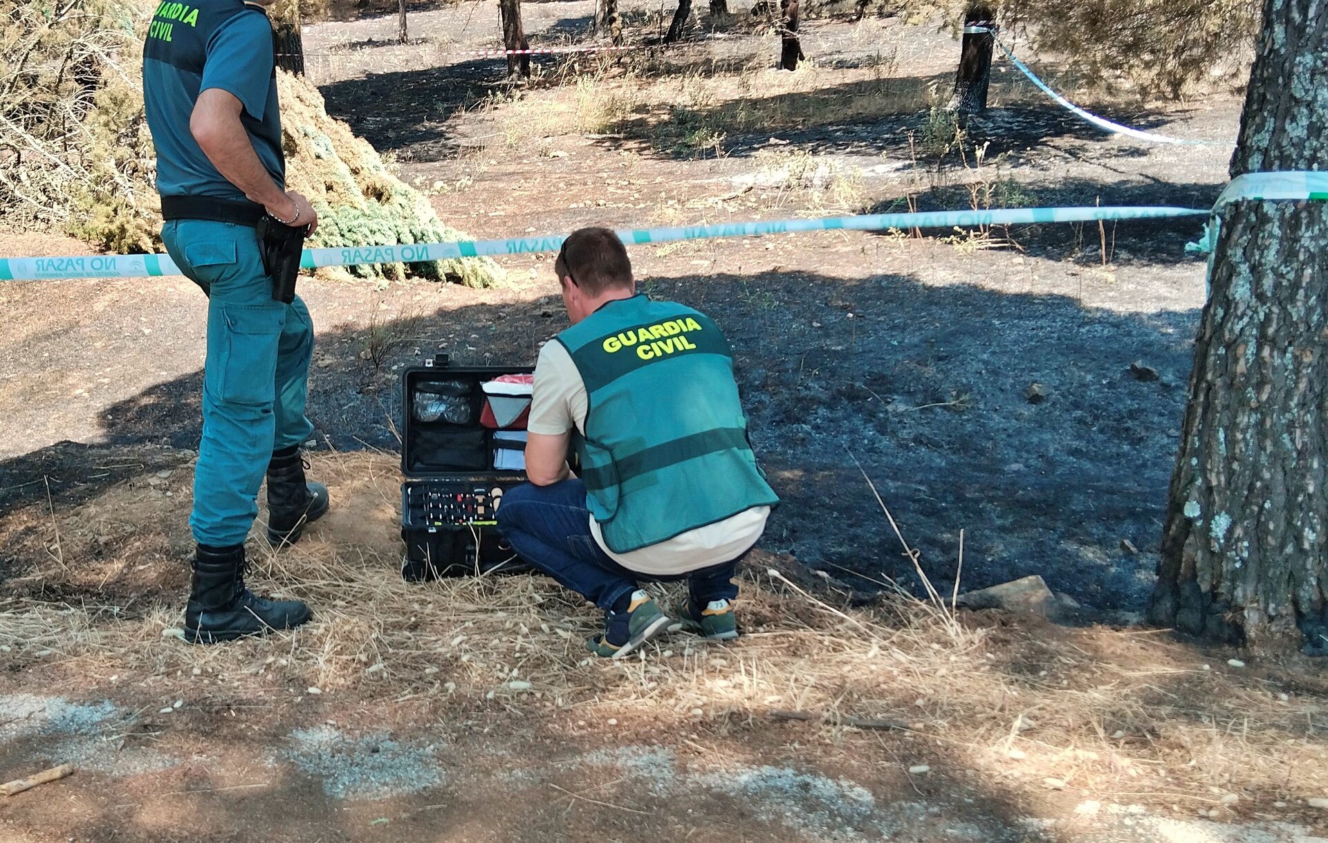 Detenido el encargado de unos desbroces por el incendio que quemó 134 hectáreas en Santa Elena