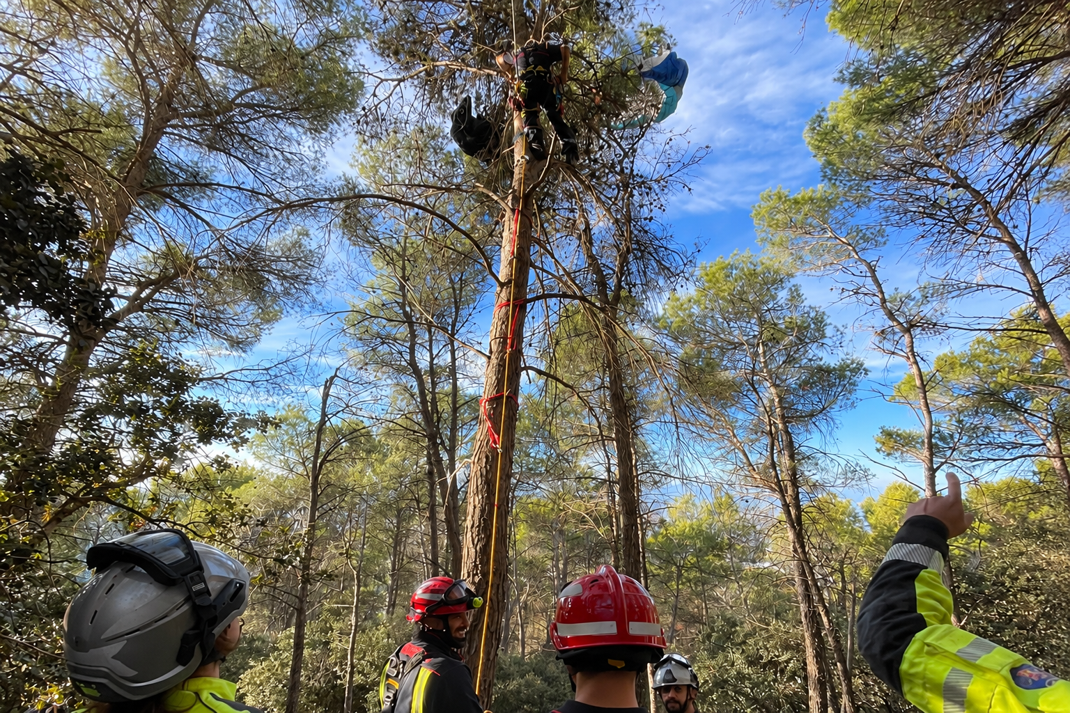 Rescatan ileso a un parapentista atrapado en un pino a diez metros de altura en Sierra Mágina