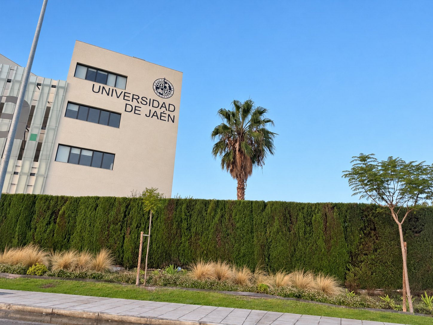 Ocho jóvenes acceden al grado deseado en la UJA a través del cupo de exclusión social